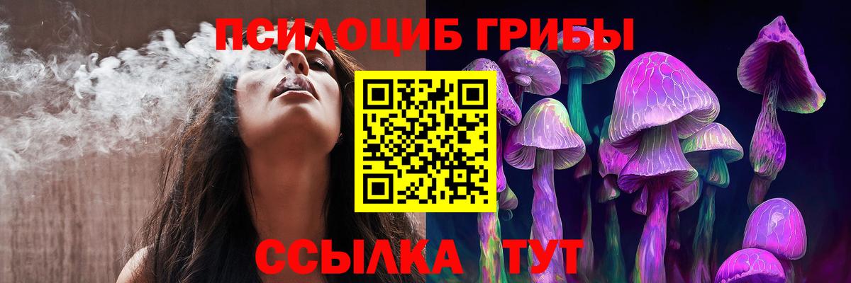 Псилоцибиновые грибы мицелий Мичуринск