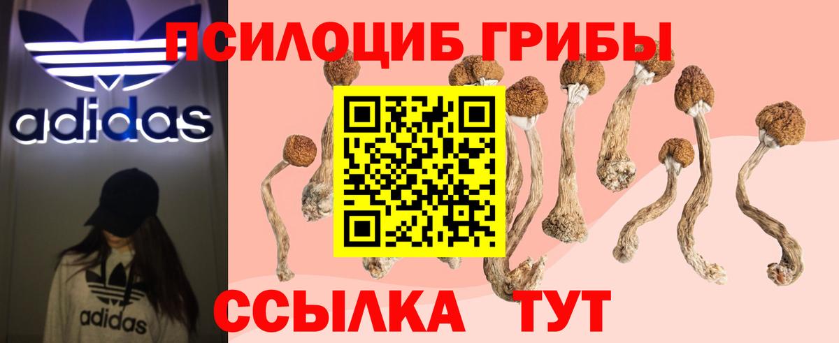 Галлюциногенные грибы мухоморы  Вход с VPN  Мичуринск 