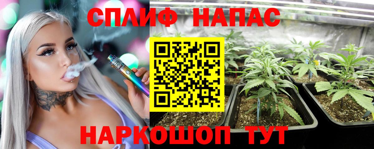 Бошки марихуана гибрид Мичуринск